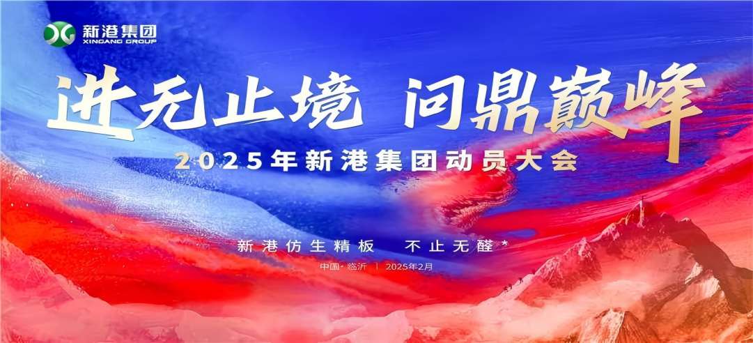 進(jìn)無止境，問鼎巔峰！2025年新港集團(tuán)動(dòng)員大會(huì)成功召開！